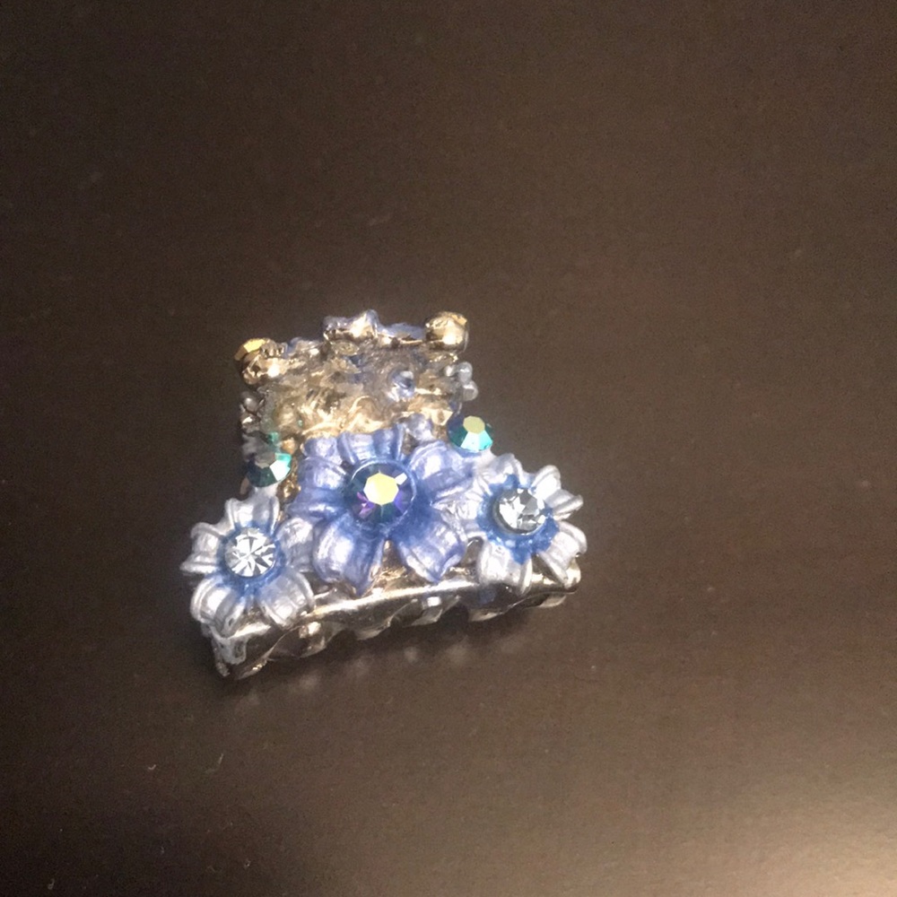 Blue hair clip